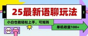 25年最新语聊玩法，纯手工，单机收益100+，小白也能轻松上手，可矩阵操作-泰戈创艺资源库
