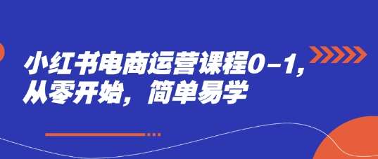 小红书电商运营课程0-1，从零开始，简单易学-泰戈创艺资源库