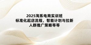 （14522期）2025淘系电商实训班：标准化起店流程，智能计划与拉新，人群推广策略等等-泰戈创艺资源库