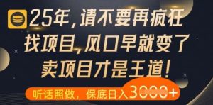 什么？25年你还在疯狂找项目做，醒醒吧，看完这些你全都懂了【揭秘】-泰戈创艺资源库