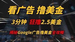 （14701期）看广告，撸美金！！3分钟赚2.5美金！！日入200美金不是梦！揭秘Google…-泰戈创艺资源库