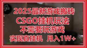（14743期）2025最新游戏搬砖，CSGO挂机，不需要玩游戏，实现真挂机，月入1W+-泰戈创艺资源库