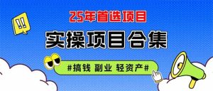 (14767期)2025实操项目合集 挂机类型 直播类型 轻资产创业类型 课程分享各项目介…-泰戈创艺资源库