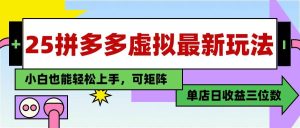 (14783期)25最新拼多多虚拟电商,单店日入3位数,小白也能快速上手,教程.-泰戈创艺资源库