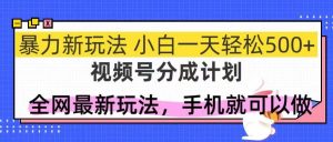 （14815期）视频号分成计划，全网最暴力玩法，新手一天也能轻松500+-泰戈创艺资源库