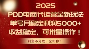 (14839期)2025PDD电商代运营全新玩法,单号月稳定利润5000+,收益稳定,可批量操作-泰戈创艺资源库