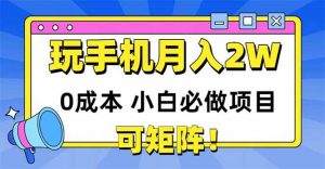 (14879期)玩玩手机月入20000+,0成本小白必做项目,可矩阵-泰戈创艺资源库