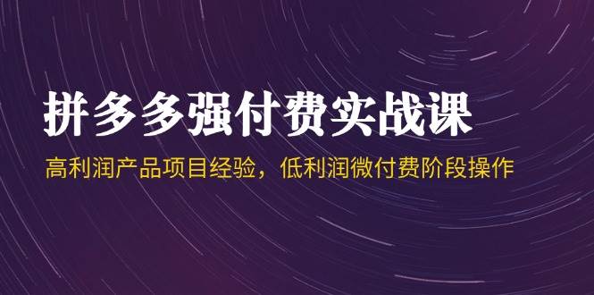 (14874期)拼多多强付费实战课-44期,高利润产品项目经验,低利润微付费阶段操作-泰戈创艺资源库