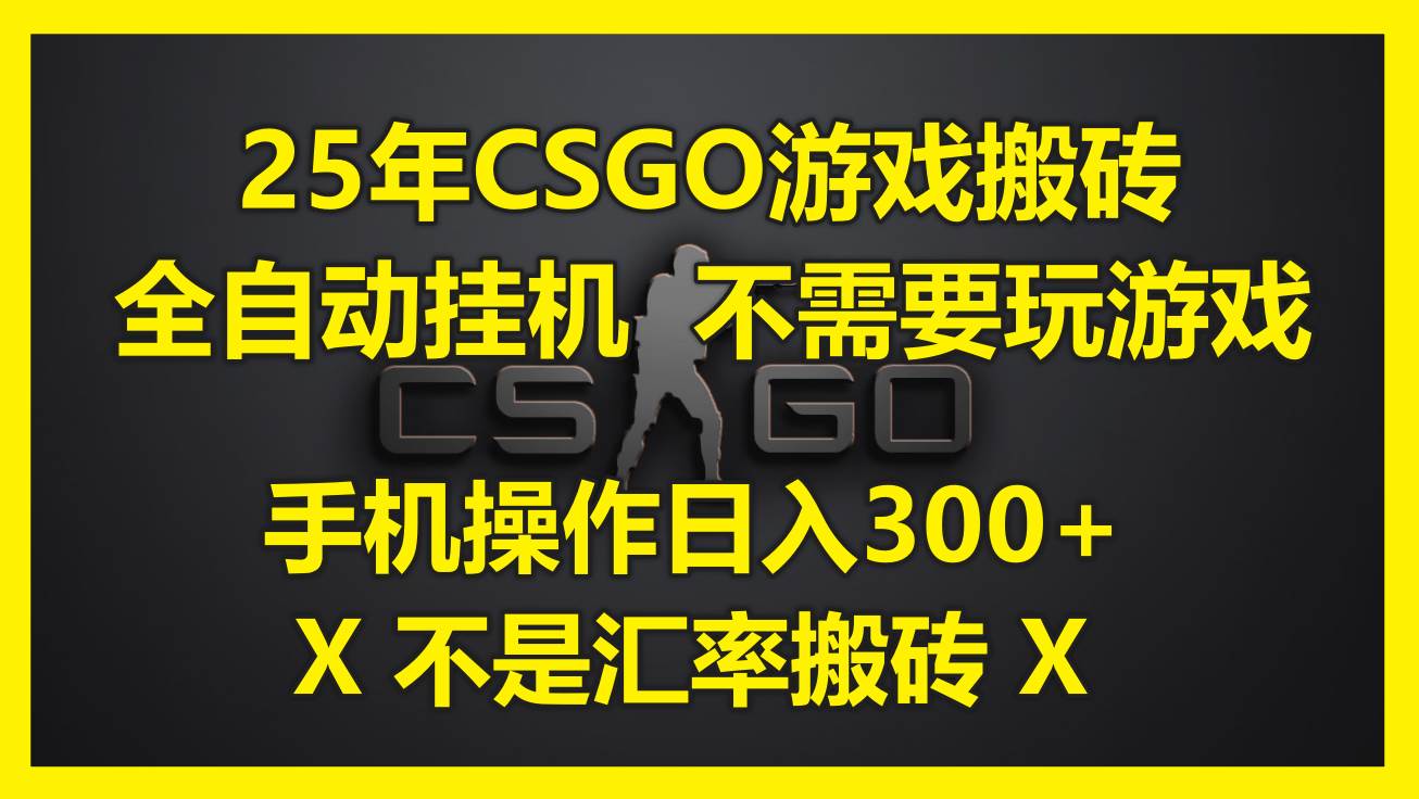 （14902期）25年CSGO游戏搬砖，全自动挂机，不需要玩游戏，手机操作日入300+。(不…-泰戈创艺资源库