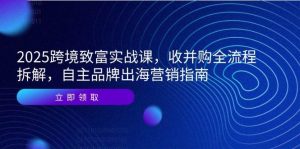（14975期）2025跨境致富实战课，收并购全流程拆解，自主品牌出海营销指南-泰戈创艺资源库
