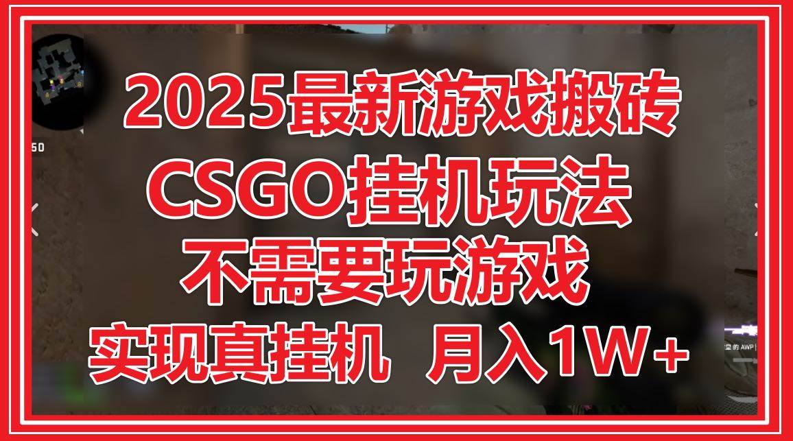 （14743期）2025最新游戏搬砖，CSGO挂机，不需要玩游戏，实现真挂机，月入1W+-泰戈创艺资源库