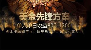 (14761期)免费技术!小众赛道!一年布局抵三年努力,每日800+-泰戈创艺资源库