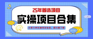 (14767期)2025年实操六大项目实操演练,挂机类型,AI直播类型,轻资产创业类型,…-泰戈创艺资源库