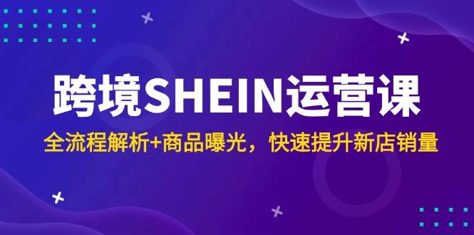 （14832期）跨境SHEIN运营课，全流程解析+商品曝光，快速提升新店销量-泰戈创艺资源库