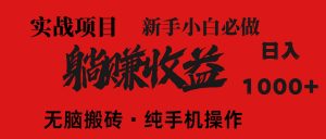 （14845期）暴利项目，每天被动收益1500+，长期管道收益！0成本自己做老板！-泰戈创艺资源库