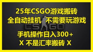 （14902期）25年CSGO游戏搬砖，全自动挂机，不需要玩游戏，手机操作日入300+。(不…-泰戈创艺资源库