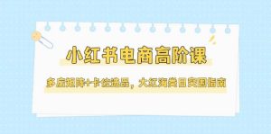 （14940期）小红书电商高阶课，多店矩阵+卡位选品，大红海类目突围指南（更新5月）-泰戈创艺资源库