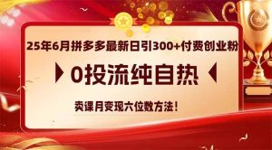 （14989期）25年6月拼多多最新日引300+付费创业粉，0投流纯自热 卖课月变现六位数方法-泰戈创艺资源库