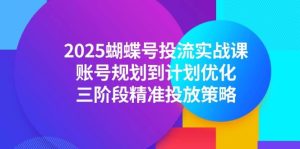 （14987期）2025蝴蝶号投流实战课，账号规划到计划优化，三阶段精准投放策略-泰戈创艺资源库