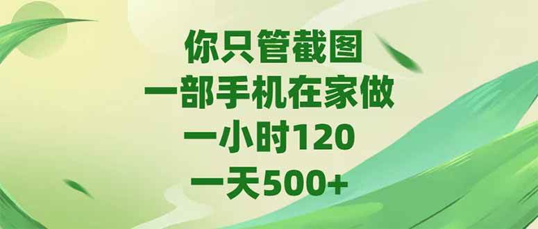 （15039期）你只管截图，一部手机在家做，一小时120，-天500+-泰戈创艺资源库