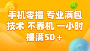 （15059期）手机零撸 专业满包技术 不养机 一小时撸满50+-泰戈创艺资源库