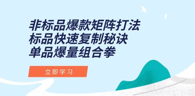 （15068期）非标品爆款矩阵打法，标品快速复制秘诀，单品爆量组合拳-泰戈创艺资源库