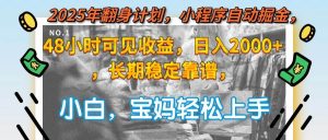 （15082期）2025年翻身计划，小程序自动掘金48小时可见收益，日入2000+，长期稳定…-泰戈创艺资源库