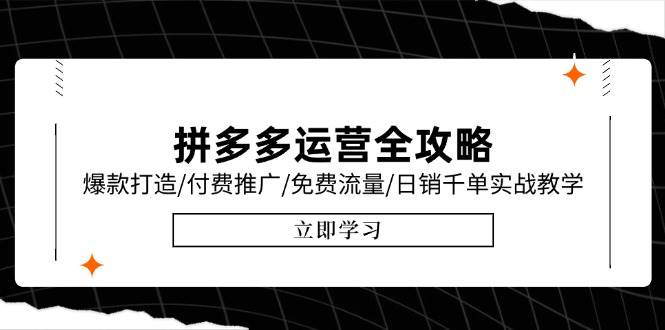 （15085期）拼多多运营全攻略，爆款打造/付费推广/免费流量/日销千单实战教学/6月更新-泰戈创艺资源库