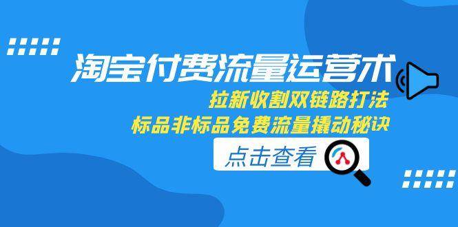 （15135期）淘宝付费流量运营术，拉新收割双链路打法，标品非标品免费流量撬动秘诀-泰戈创艺资源库