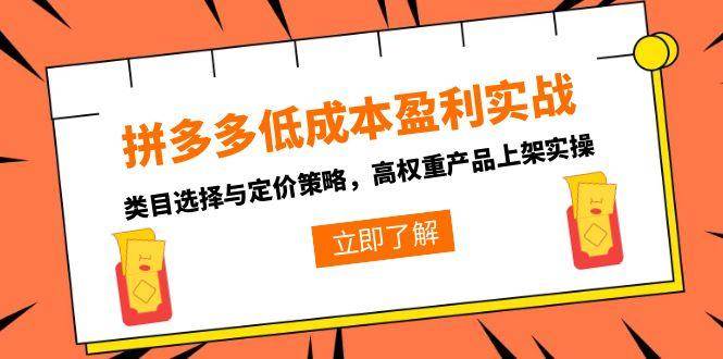 （15143期）拼多多低成本盈利实战，类目选择与定价策略，高权重产品上架实操-泰戈创艺资源库