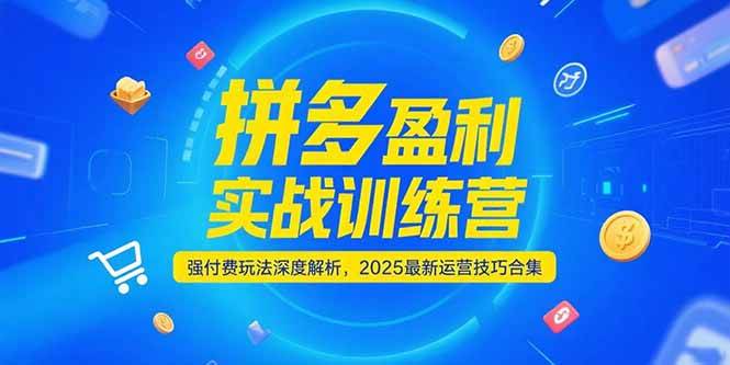 （15183期）拼多多盈利实战训练营，强付费玩法深度解析，2025最新运营技巧合集-泰戈创艺资源库