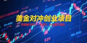 (15187期)美金对冲创业项目,日收益 1000 – 4000,小众暴力项目-泰戈创艺资源库