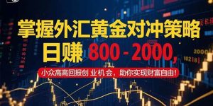 (15198期)掌握外汇黄金对冲策略,日赚 800 – 2000,小众高回报创业机会,助你实…-泰戈创艺资源库