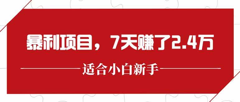 （15228期）最新暴利项目，每单收益轻松在300以上，7天赚了2.4万-泰戈创艺资源库