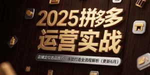 (15235期)2025拼多多运营实战:店铺定位选品技巧,爆款打造全流程解析(更新6月)-泰戈创艺资源库