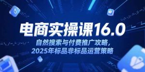 （15262期）淘宝电商运营课16.0，自然搜索与付费推广攻略，2025年标品非标品运营策略-泰戈创艺资源库