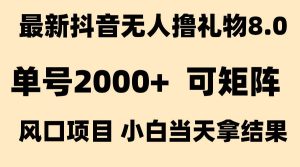 (15311期)抖音无人撸礼物8.0玩法 全新风口 见效果快 全无人 单号当天产出2000+-泰戈创艺资源库