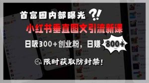 （15313期）首富圈内部曝光小红书垂直图文引流新课，日吸300+创业粉，日赚800+，限…-泰戈创艺资源库