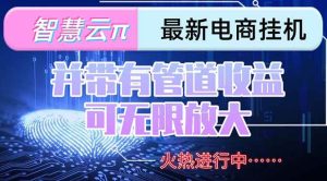 （15314期）智慧云π电脑挂机单机每天收益300—500+ 并带有团队管道收益 可无限放大-泰戈创艺资源库