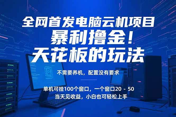 （15323期）电脑云机项目 暴力撸金玩法，不需要养机 配置没有要求 单机100个窗口一…-泰戈创艺资源库