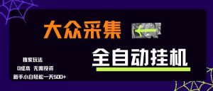 （15348期）大众采集全自动玩法，新手小白轻松一天500+，操作简单零成本-泰戈创艺资源库