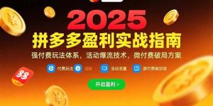 （15357期）拼多多盈利实战指南，强付费玩法，活动爆流技术，微付费破局方案(更新7月)-泰戈创艺资源库