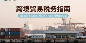 （15381期）跨境贸易税务指南，进口业务退税要点，转口贸易风险，特殊业务处理-泰戈创艺资源库