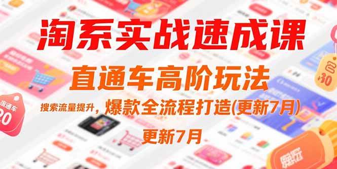 （15374期）淘系实战速成课，直通车高阶玩法，搜索流量提升，爆款全流程打造(更新7月)-泰戈创艺资源库