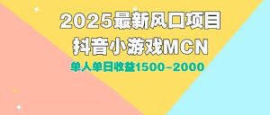 （15393期）DY小游戏MCN广告2025最新打法单人单日收益1500-2000背靠大平台新手小白…-泰戈创艺资源库