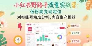 （15423期）小红书野路子流量实战营：低粉高变现定位 对标账号精准分析 内容生产提效-泰戈创艺资源库
