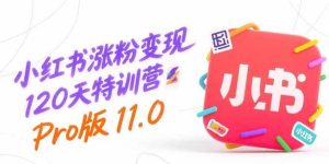 (15432期)小红书涨粉变现120天特训营Pro版11.0:从0到1掌握平台运营,内容制作和变现-泰戈创艺资源库