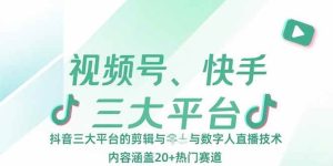 (15449期)视频号、快手、抖音三大平台的剪辑与数字人直播技术,内容涵盖20+热门赛道-泰戈创艺资源库