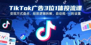 (15460期)TikTok广告3位1体投流课,变现方式盘点,投放逻辑拆解,自动规则设置-泰戈创艺资源库