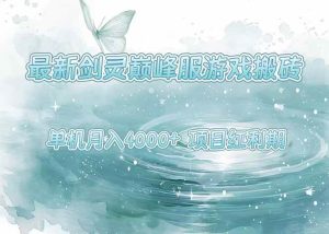 (15491期)最新剑灵巅峰服游戏搬砖,项目红利期,单机稳定4000+操作简单好上手-泰戈创艺资源库